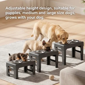 Adjustable Elevated Double Dog Bowl Feeder