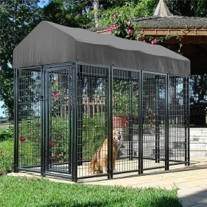 Heavy-Duty Outdoor Dog Kennel